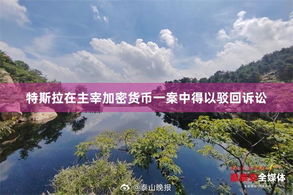 特斯拉在主宰加密货币一案中得以驳回诉讼