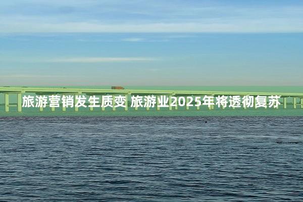 旅游营销发生质变 旅游业2025年将透彻复苏