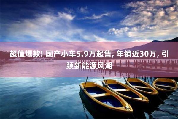 超值爆款! 国产小车5.9万起售, 年销近30万, 引颈新能源风潮