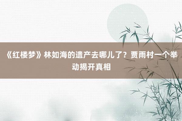 《红楼梦》林如海的遗产去哪儿了？贾雨村一个举动揭开真相