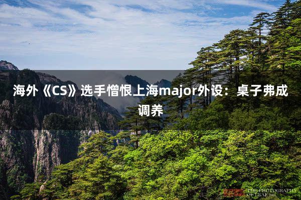 海外《CS》选手憎恨上海major外设：桌子弗成调养