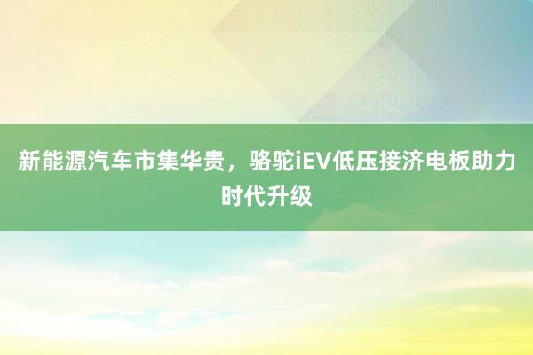 新能源汽车市集华贵，骆驼iEV低压接济电板助力时代升级
