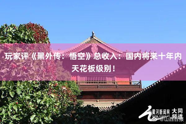 玩家评《黑外传：悟空》总收入：国内将来十年内天花板级别！